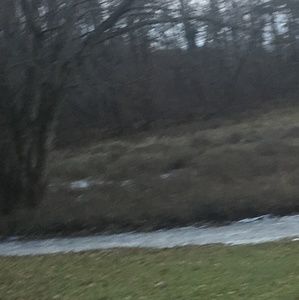 Meet your Posher, Brayden